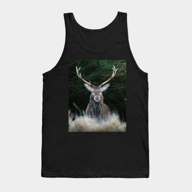 Highland Stag Tank Top by TMcG72